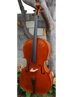 Cracovia Montagnana Deluxe 4/4 Cello