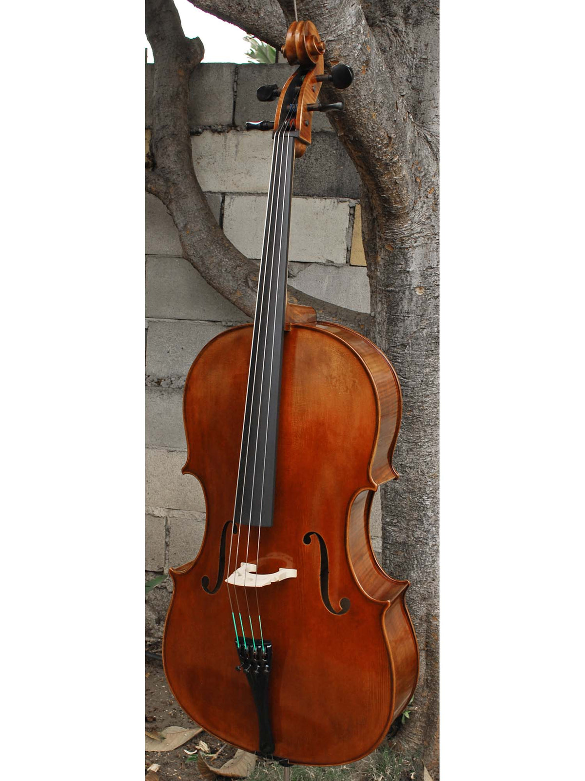 Vivo Guadagnini 1777 'Simpson' Replica 4/4 Cello (26120)