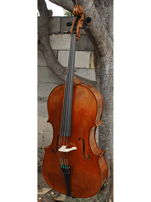 Vivo Guadagnini 1777 'Simpson' Replica 4/4 Cello (26120)