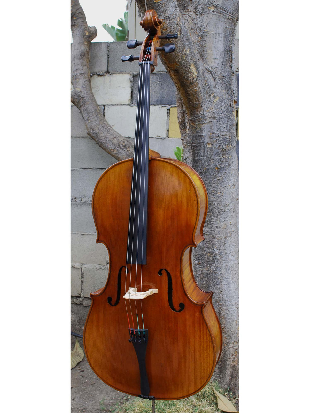 SIR 4/4 Cello 2000