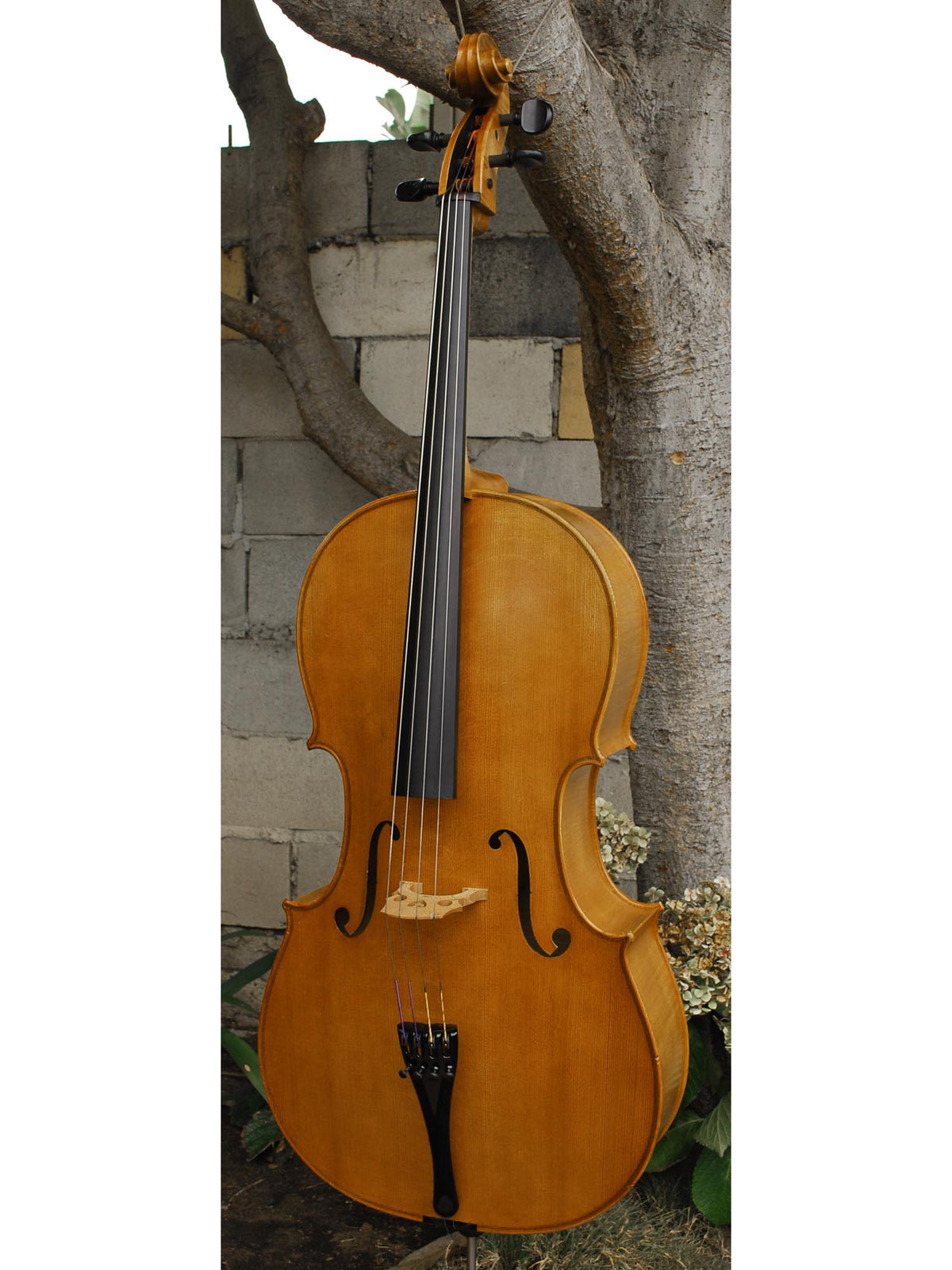 Emanuel Wilfer Master 'Stradivari' 4/4 Cello