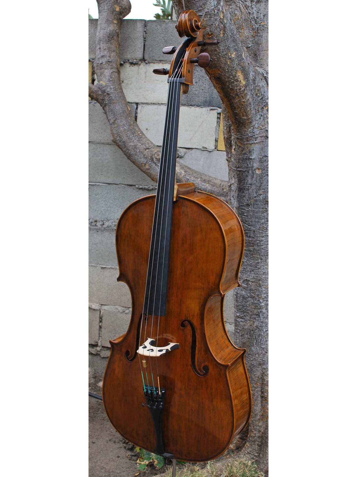Nicholas Baciu #5 "Tiki Bob" (Romania) - 7/8 Cello