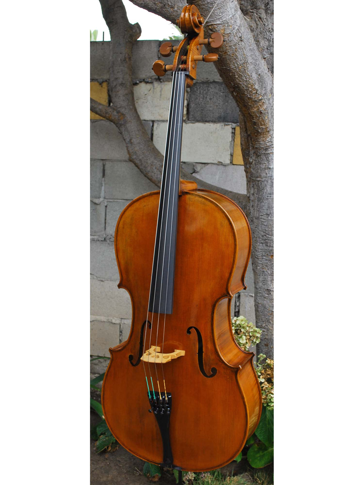 Pietro Lombardi model 502 - 7/8 Cello