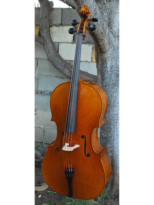 Vivo 'King Amati 1570' 4/4 Cello