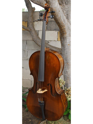Eastman model 305 'Strad'  - 4/4 Cello (A)