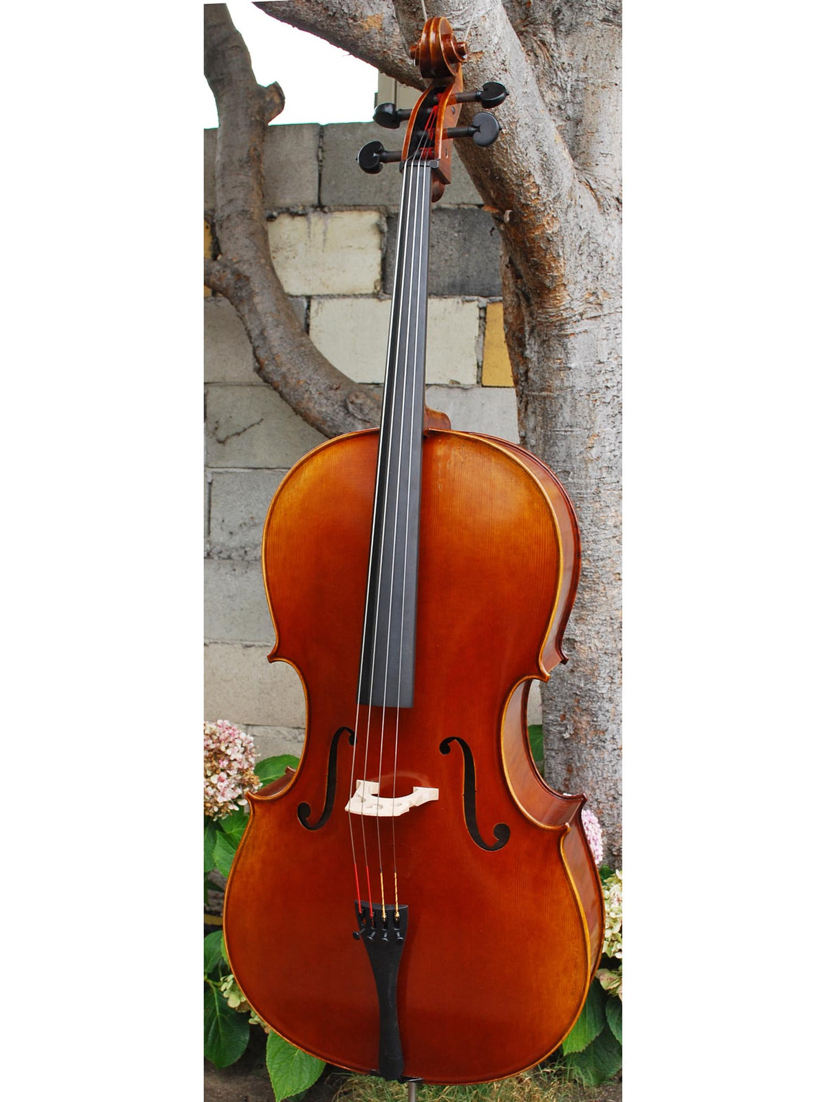 Fire Phoenix FC500 'Artista' 4/4 Cello