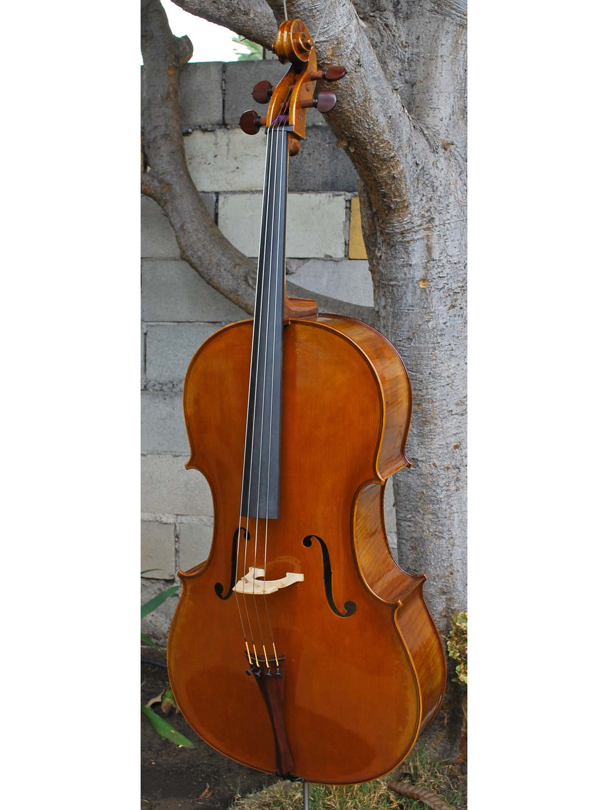 Salvatore Callegari 'Gofriller 1693' 4/4 Cello