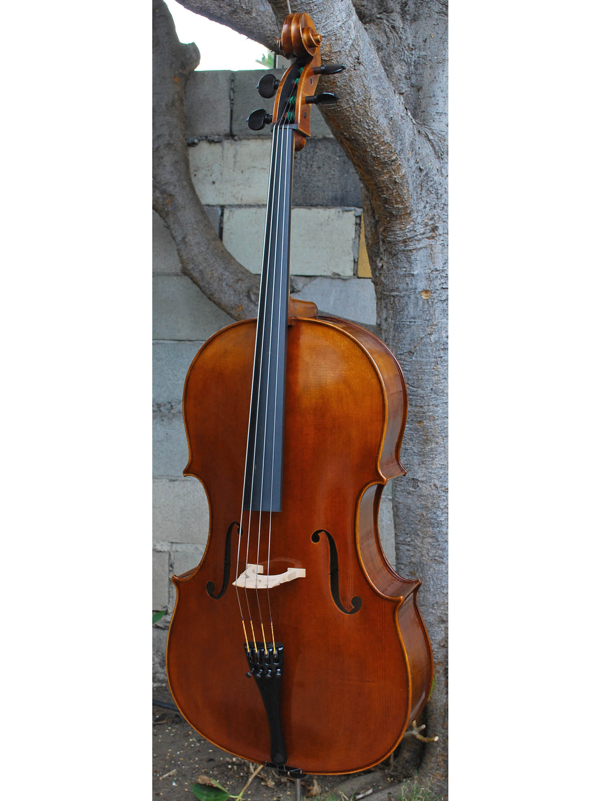 Vivo Guadagnini 1777 'Simpson' Replica 4/4 Cello (25017)