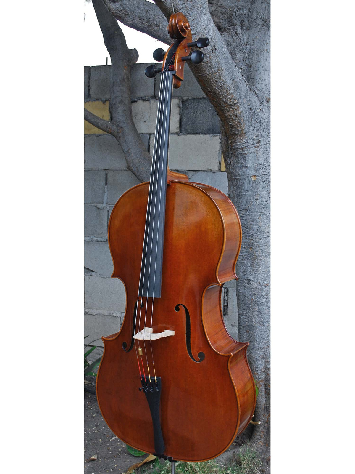 Vivo Gofriller Replica 4/4 Cello