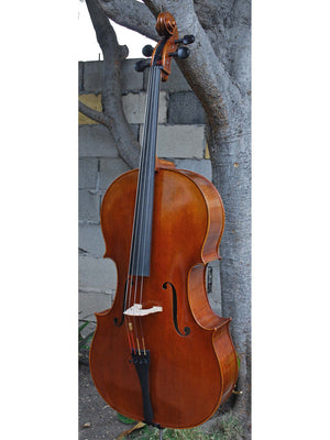 Vivo Gofriller Replica 4/4 Cello