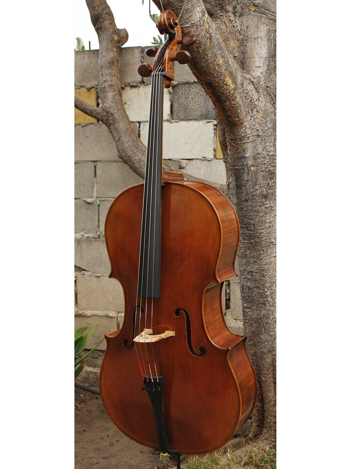 C.L. Wynn 620 'Gofriller' 4/4 Cello