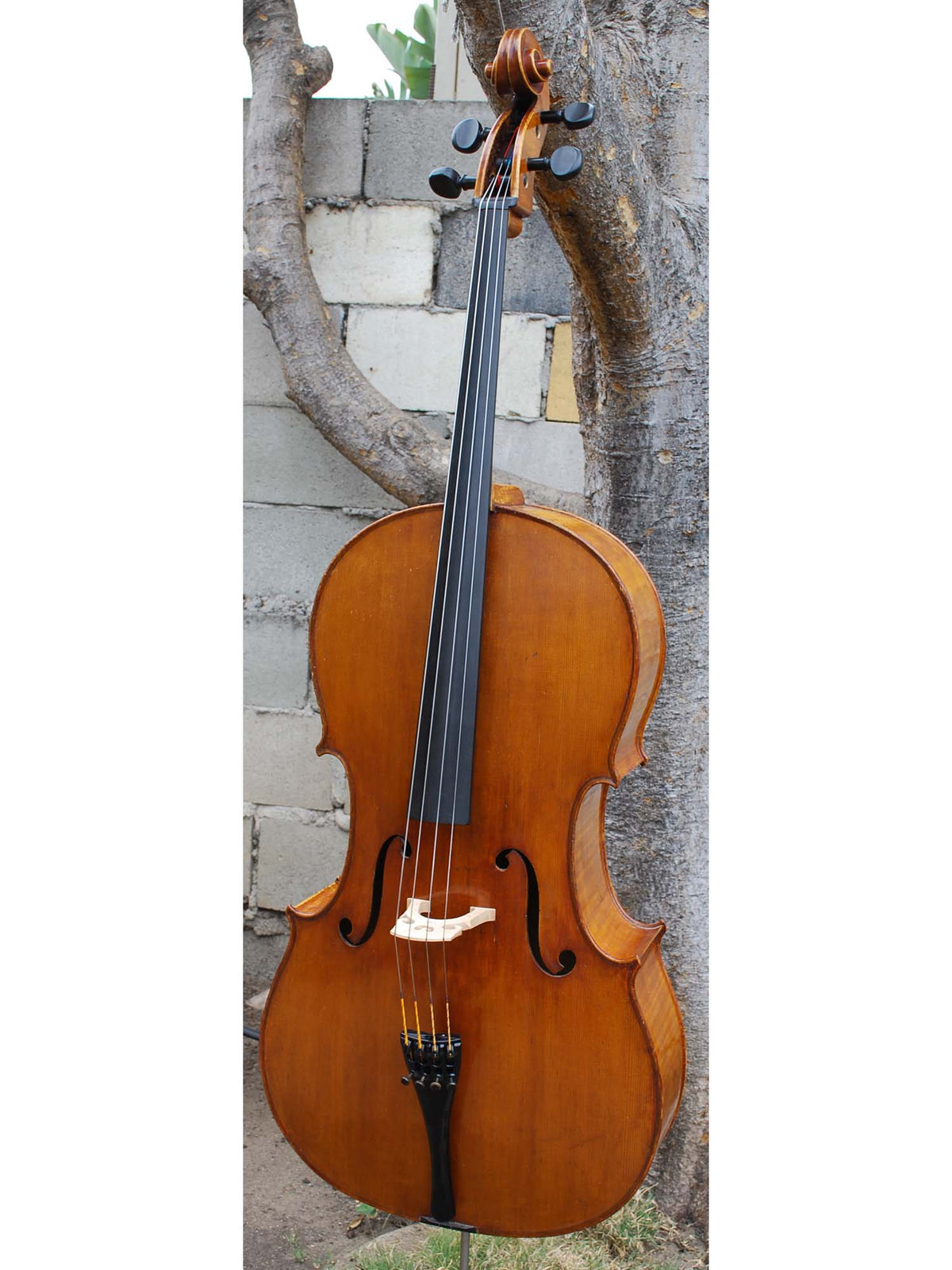 J.W. Schult early 20th Century - 4/4 Cello