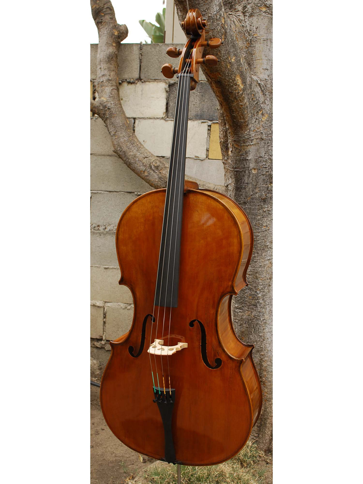 Pietro Lombardi 502 'Stradivari' 4/4 Cello