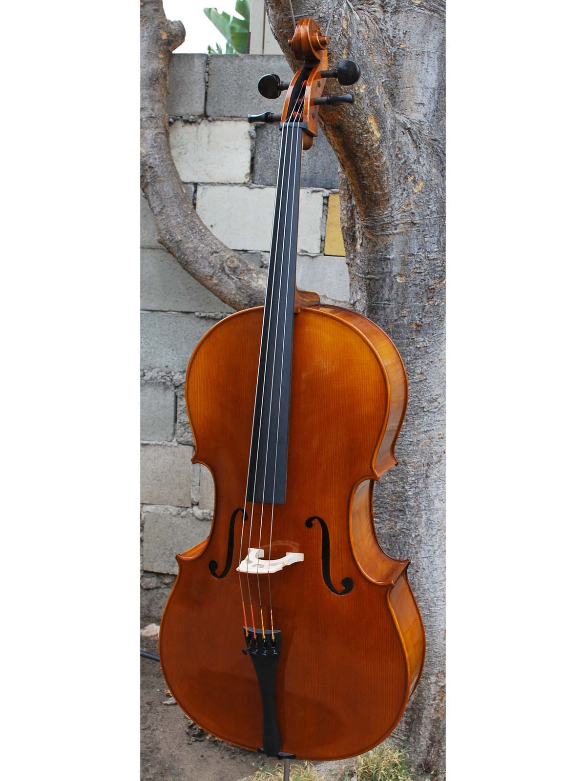 C.L. Wynn 520 'Strad' 7/8 Cello (0726)