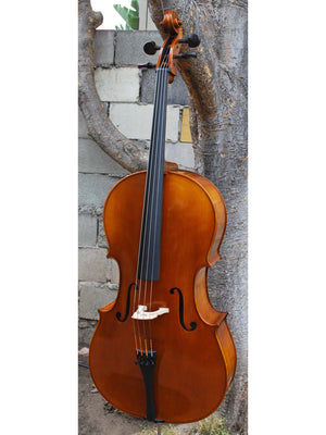 C.L. Wynn 520 'Strad' 7/8 Cello (0726)