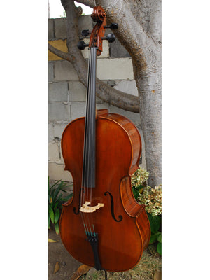 Ivan Dunov model 401 'Strad'  - 4/4 Cello (B)