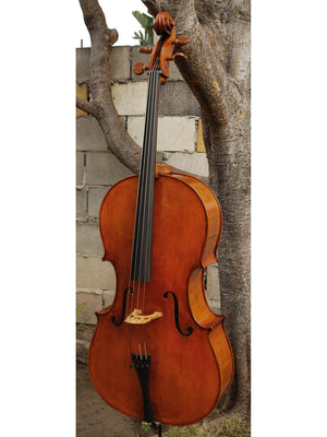 Raul Emiliani model 928 'Stradivari' 4/4 Cello
