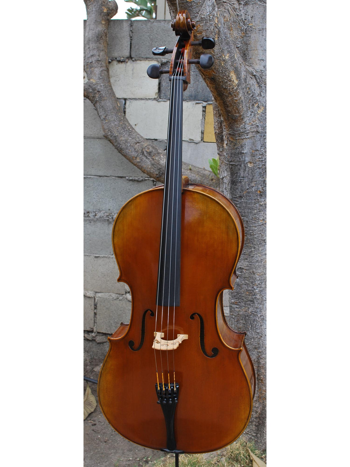 Antonio Fiorini 650 'Stradivari' - 7/8 Cello