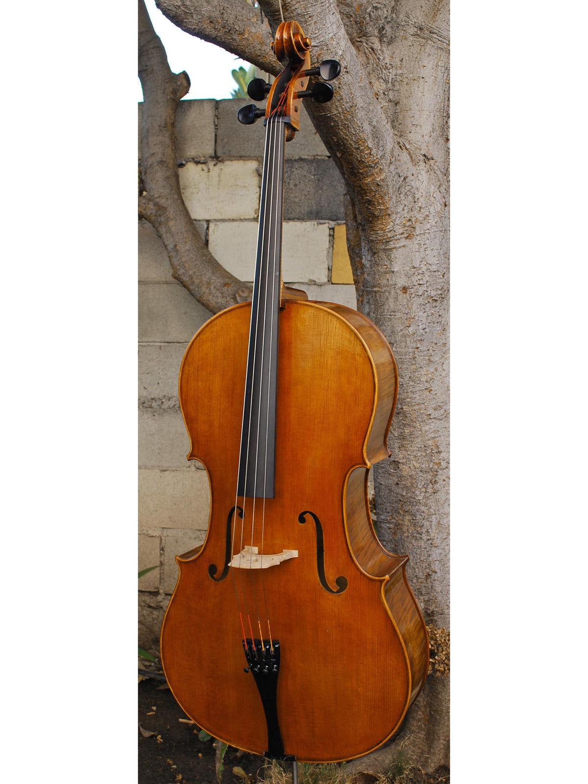 Tomasz Kowalski Master 4/4 Cello