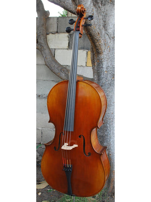 Vivo Limited Eurowoods 'Stradivari' 4/4 Cello