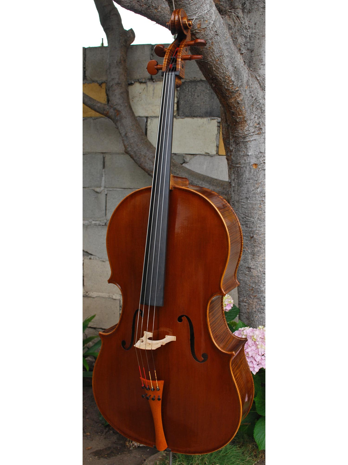 Tadeusz Slipek Master 'Jacobs' 4/4 Cello.