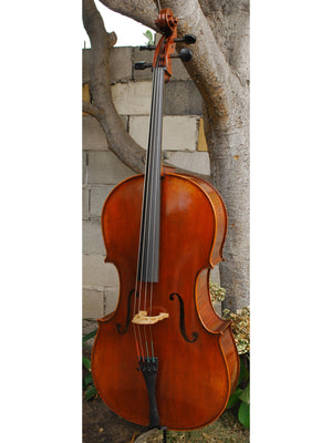 Ivan Dunov model 401 'Strad'  - 4/4 Cello (A)