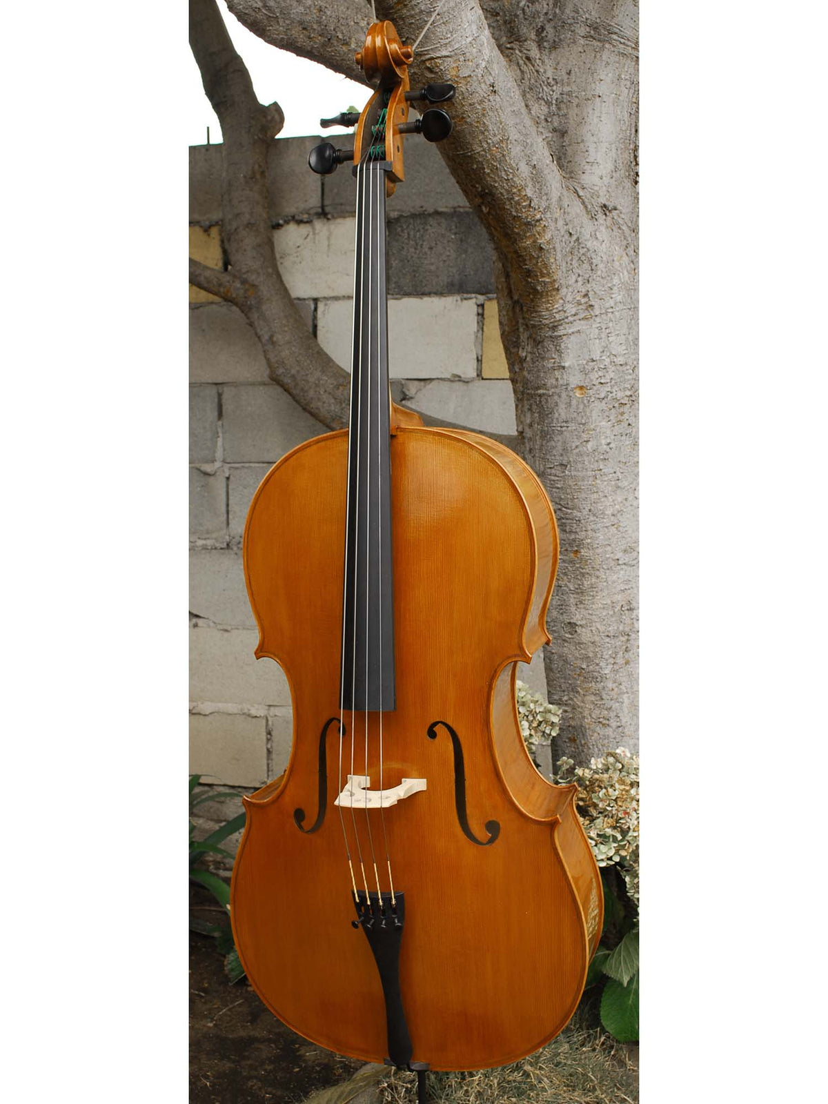 Calin Wultur model #6 'Guarneri' 4/4 Cello