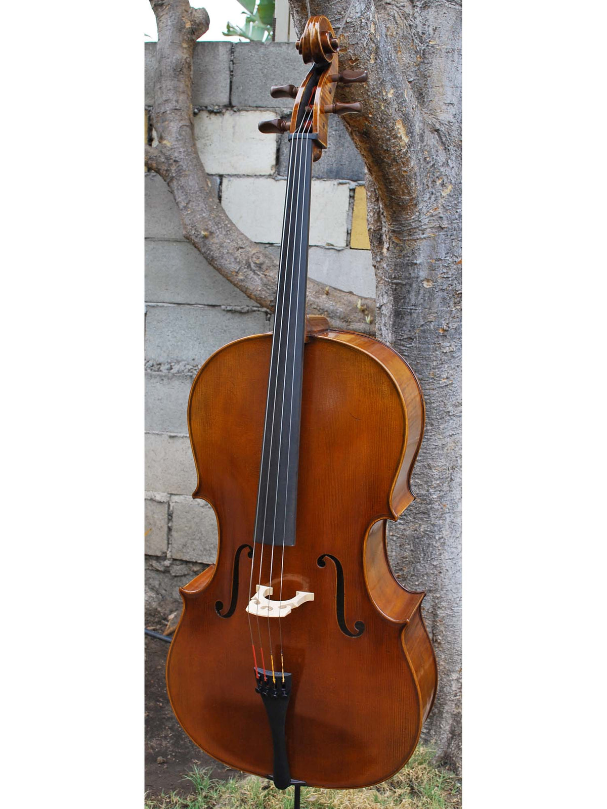 C.L. Wynn 620 'Rogeri' 4/4 Cello