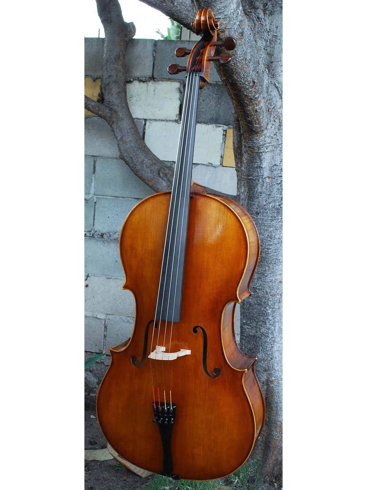 Tomasz Kowalski Workshop 4/4 Cello