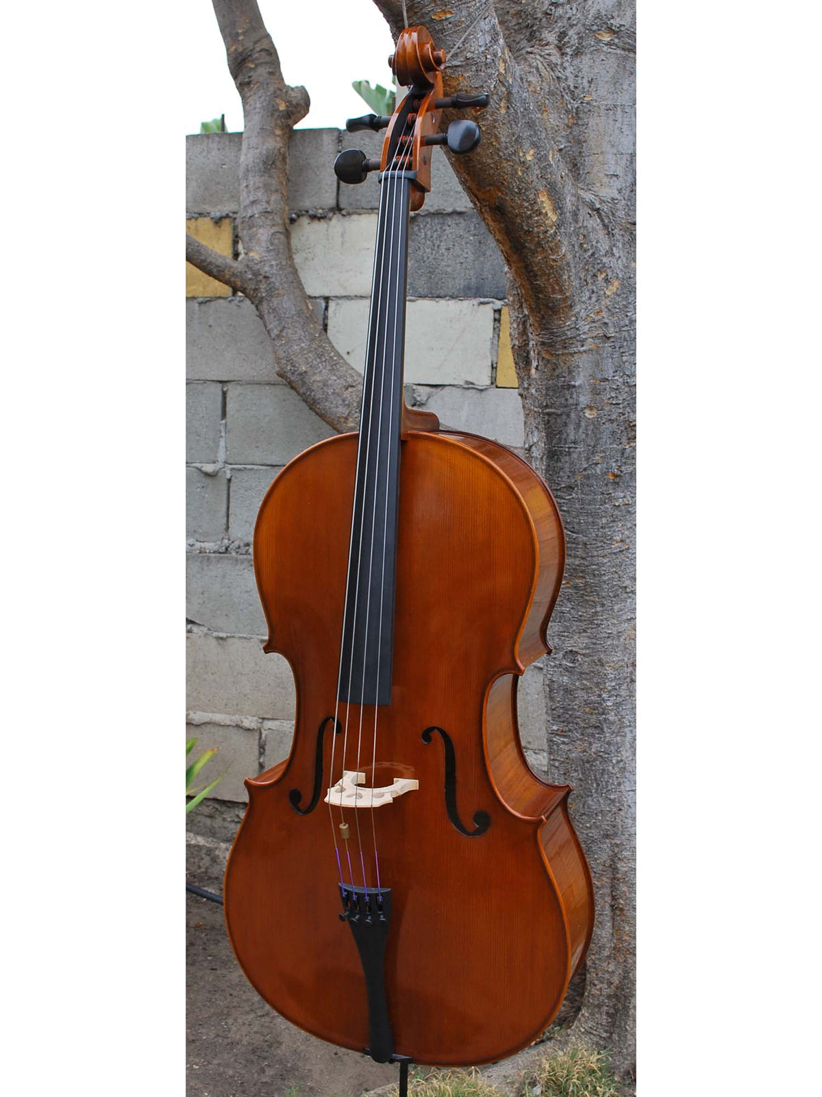 C.L. Wynn 520 'Strad' 7/8 Cello