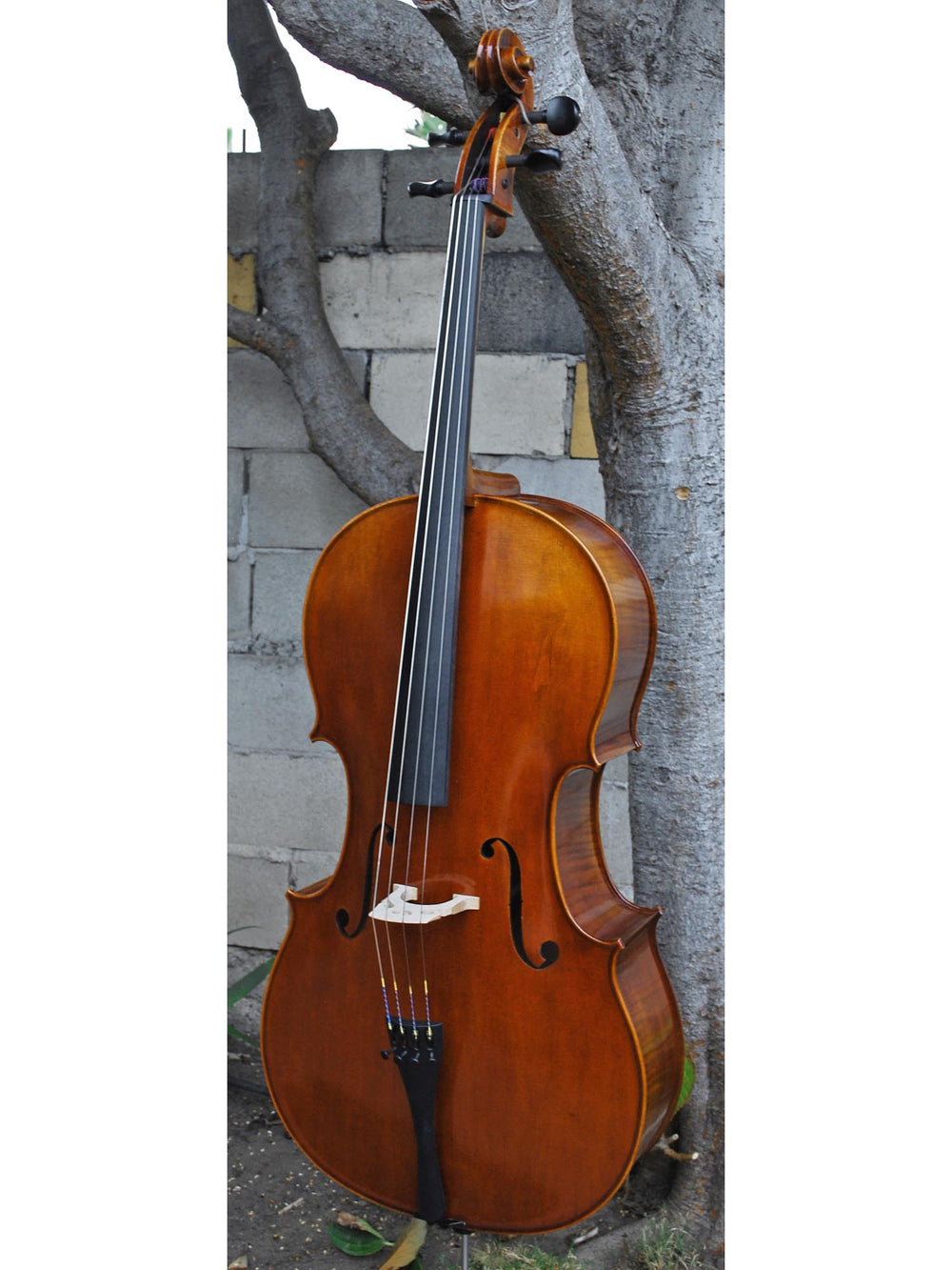 New and Used Cellos - Linda West Cellos