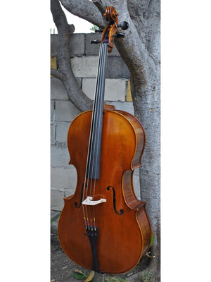 Vivo model 400 Strad 4/4 Cello (A)