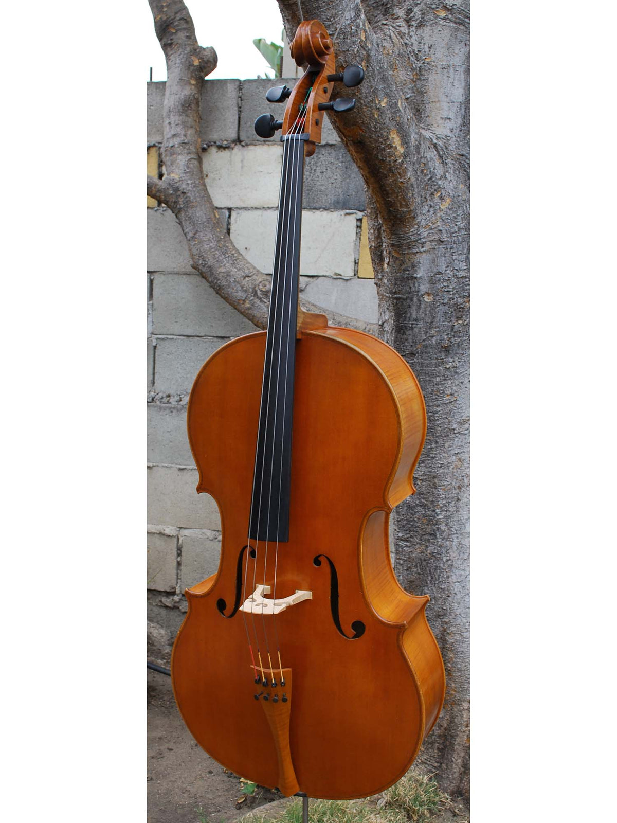 A.D. McDermott 1980's - 4/4 Cello