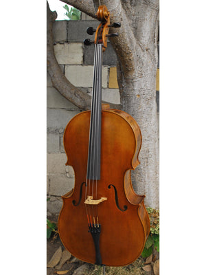Vivo Zetoni model 300 4/4 Cello