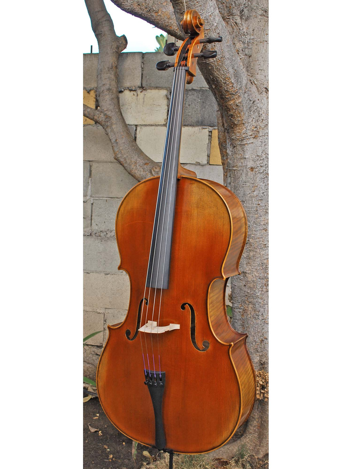 Antonio Fiorini 650 'Strad' 4/4 Cello