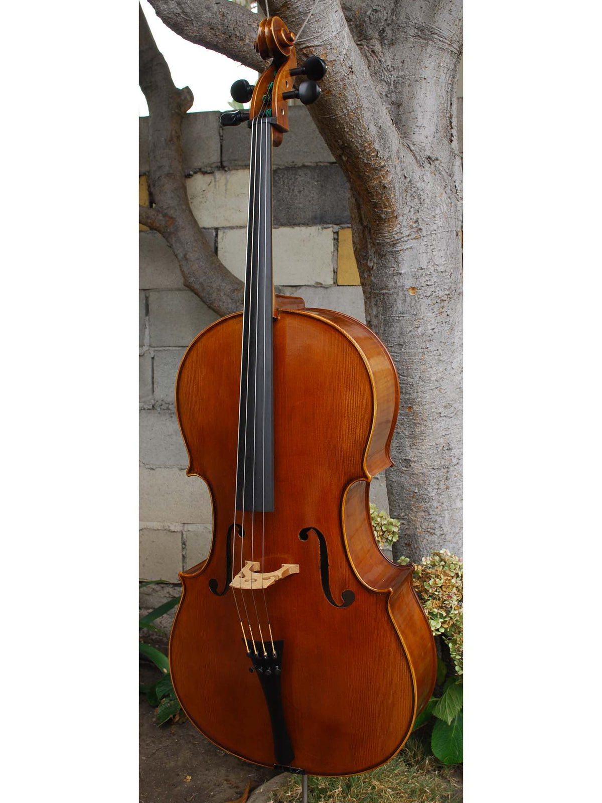 Bieg Company Geigenbau 'Stradivari' model 5 - 4/4 Cello
