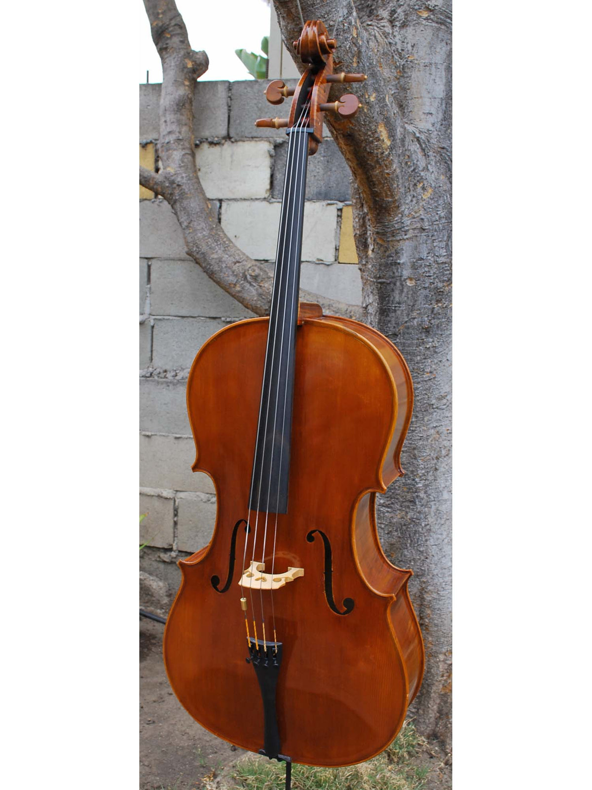 Wilhelm Klier Model 702 'Guarneri del Gesu' 4/4 Cello