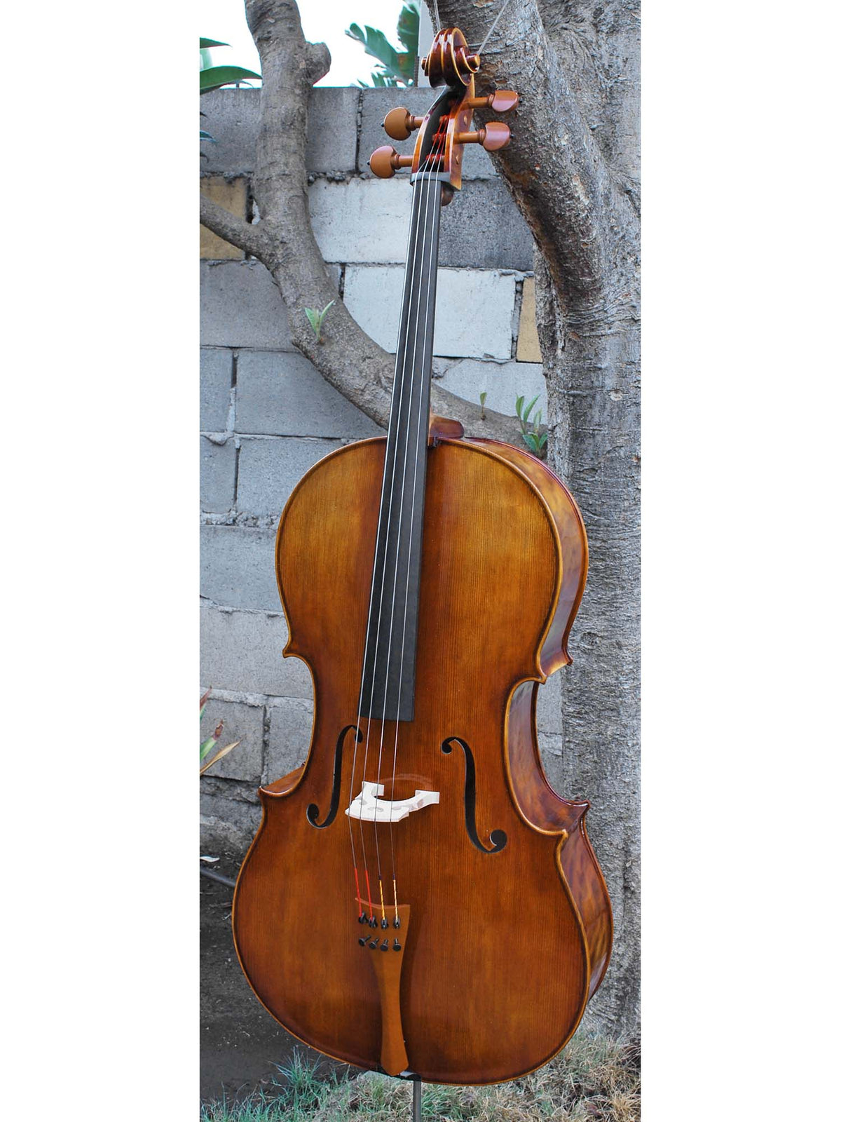 Tomasz Kowalski Workshop Poplar 4/4 Cello