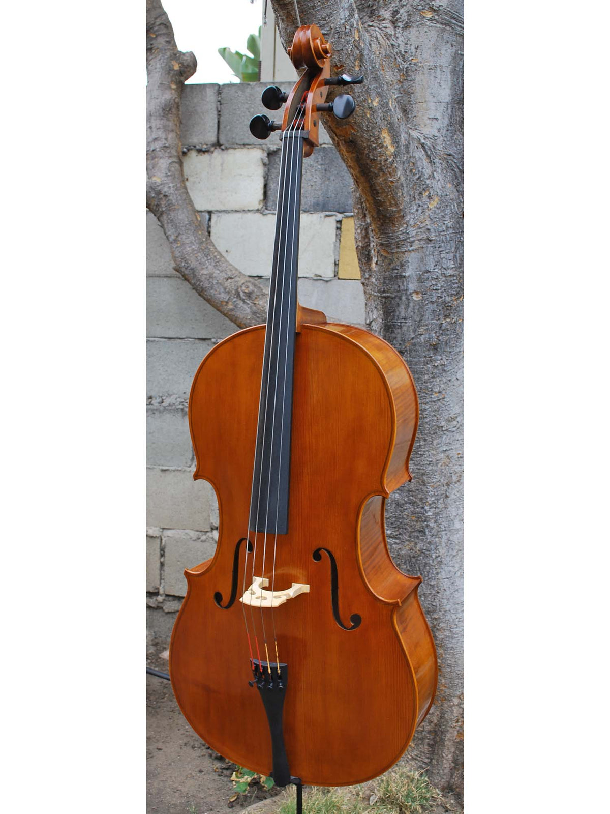 Calin Wultur model #6 'Guarneri' 4/4 Cello