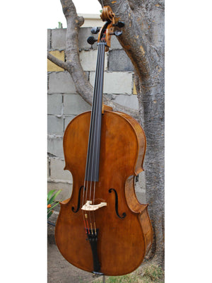 Topa Workshop Birdseye Maple 'Stradivari' 4/4 Cello