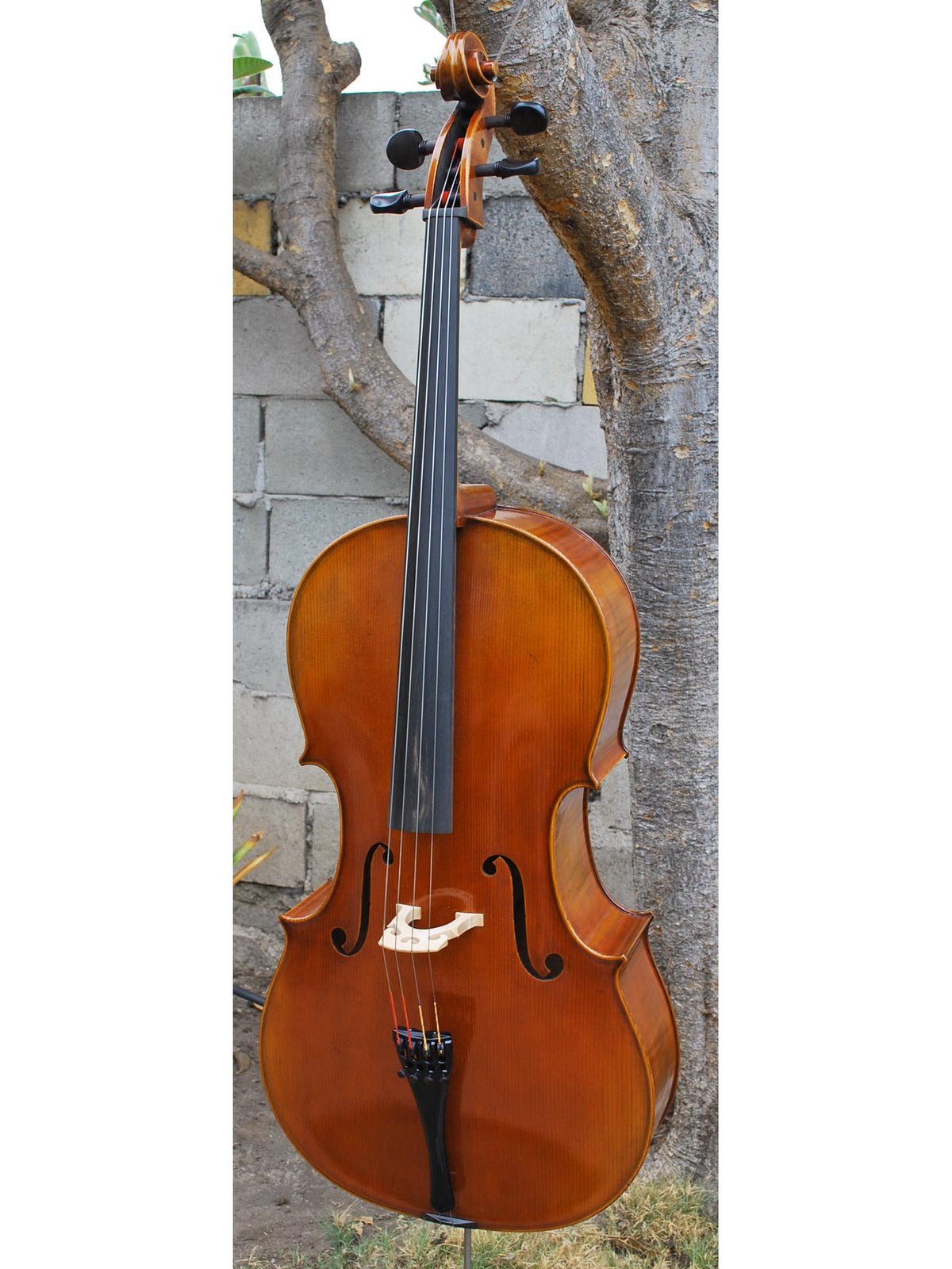 Hans Werner 725 'Master' 4/4 Cello