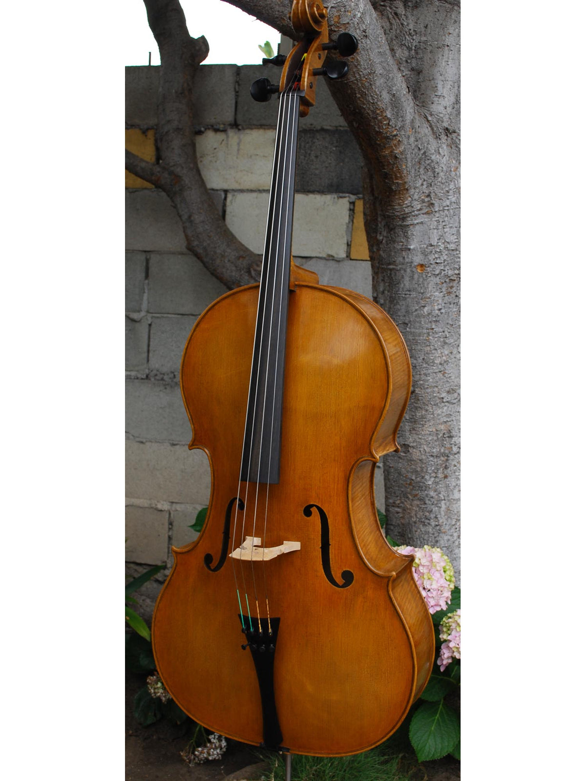 Jan Szlachtowski Master Level 'Gofriller' 4/4 Cello