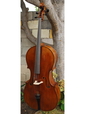 Thomas Hoyer - 4/4 Cello