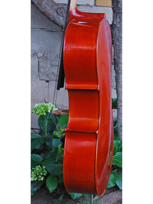 Johannes Seibert Model 250 'Stradivari' 7/8 Cello