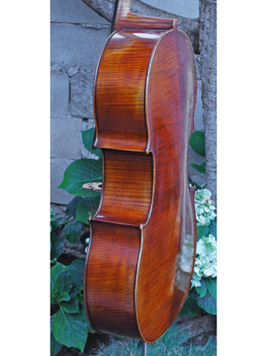 Vivo Zetoni model 100 4/4 Cello Used