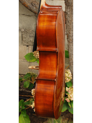 Eastman model 315 3/4 Cello