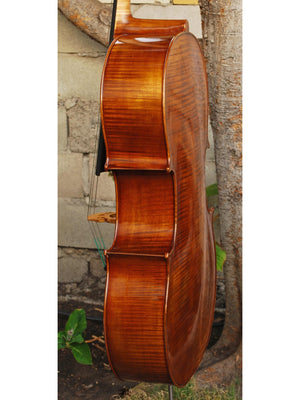 Vivo Special Eurowoods 4/4 Cello