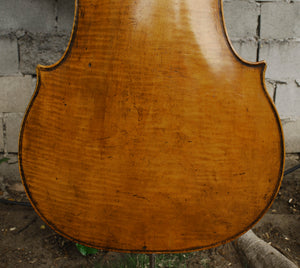 Old Cello labeled 'Ferdinandus Gagliano 1761' - 4/4 Cello