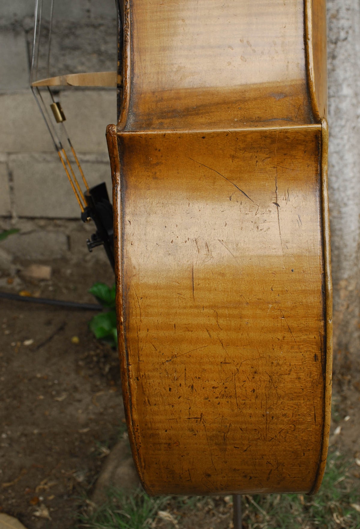Old Cello labeled 'Ferdinandus Gagliano 1761' - 4/4 Cello