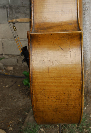 Old Cello labeled 'Ferdinandus Gagliano 1761' - 4/4 Cello